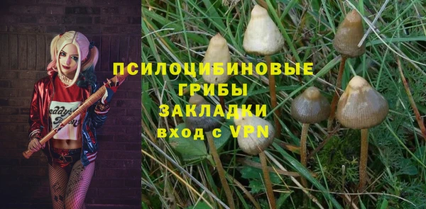 mix Богородицк