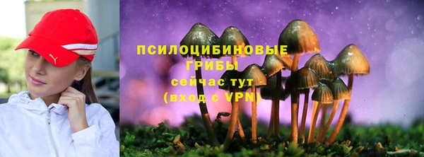 дмт Магадан
