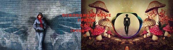дистиллят марихуана Кинешма